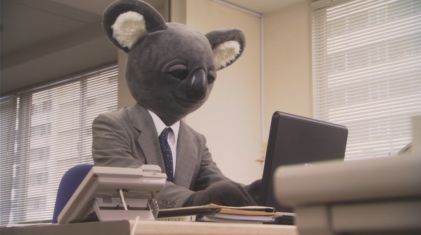 executive koala 1.jpg